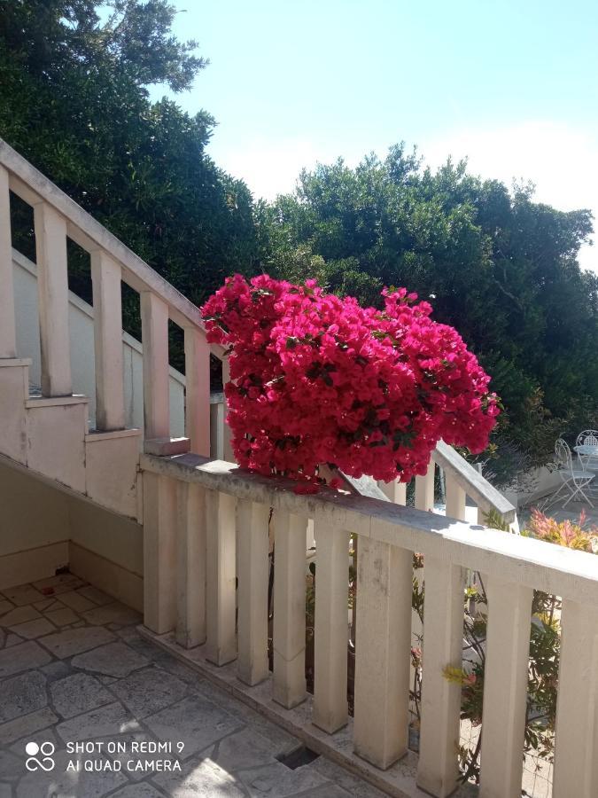 Apartman Hibiskus Бол Екстер'єр фото