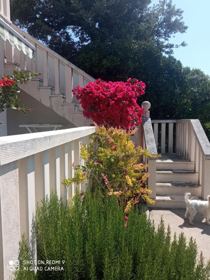 Apartman Hibiskus Бол Екстер'єр фото