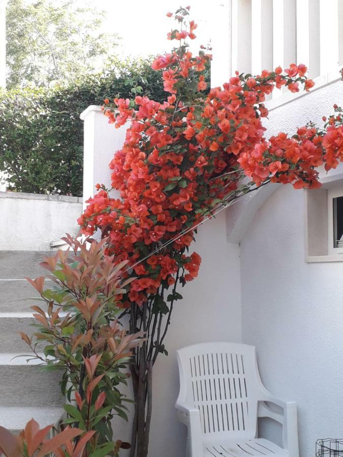 Apartman Hibiskus Бол Екстер'єр фото